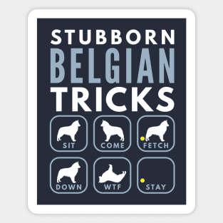 Stubborn Belgian Shepherd Tricks - Dog Training Magnet